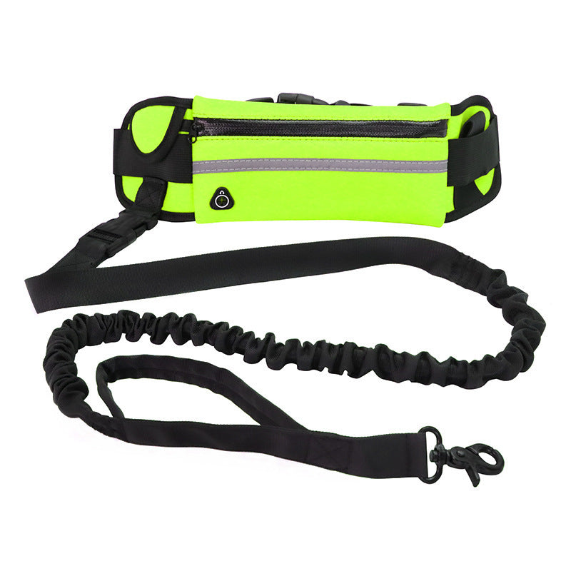 Bungee Hands Free Dog Leash
