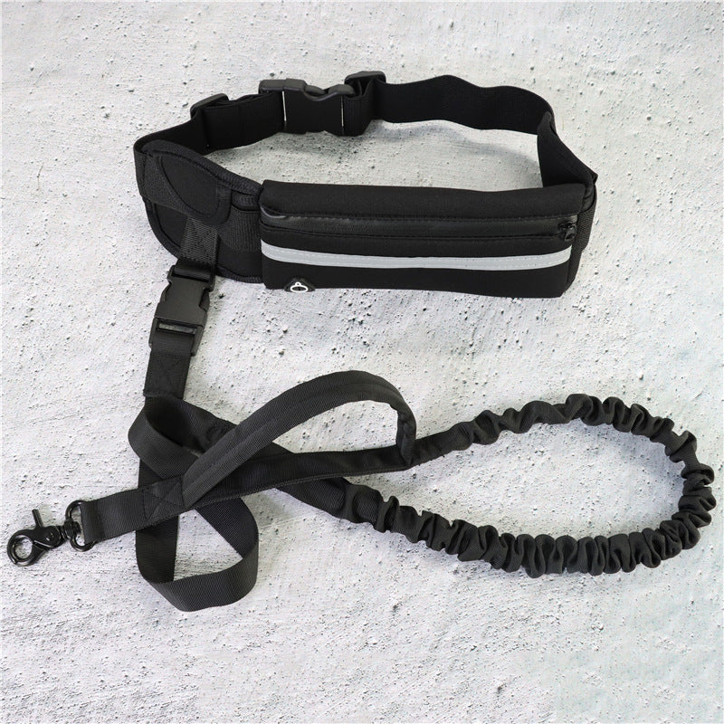 Bungee Hands Free Dog Leash
